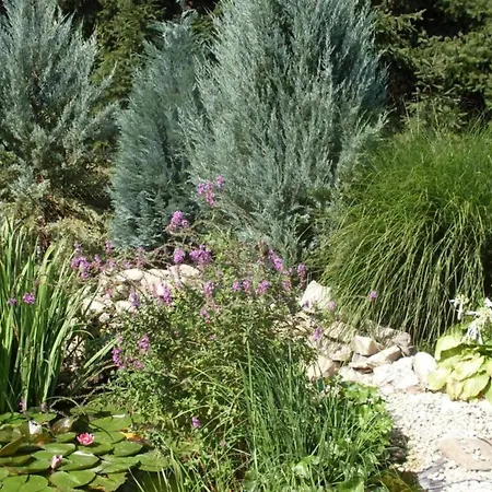 With Pool, Roof Terrace, Garden